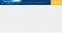 Desktop Screenshot of callculligan.com